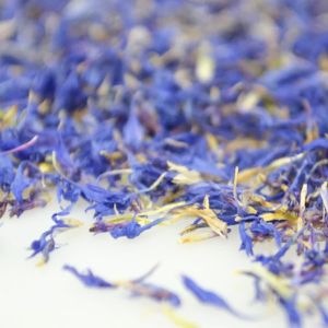 Dried Blue Cornflower