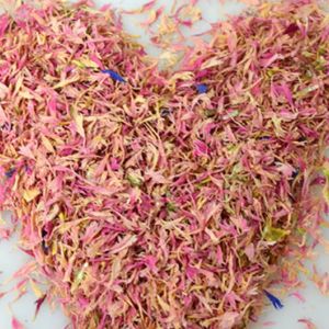 Dried Pink Cornflower