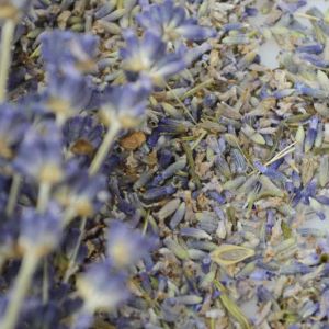 Dried Lavender