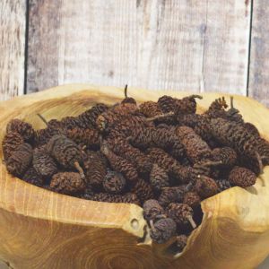 Alder Cones